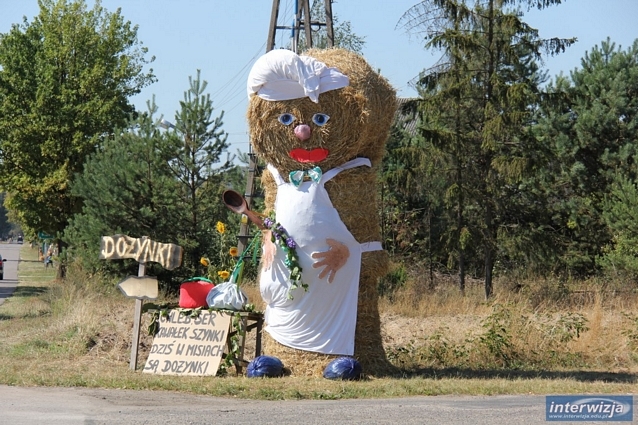 Dożynki Powiatowe Misie 2015
