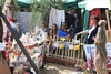 Dożynki Powiatowe Misie 2015