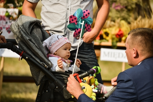 Dożynki Gminne 2015