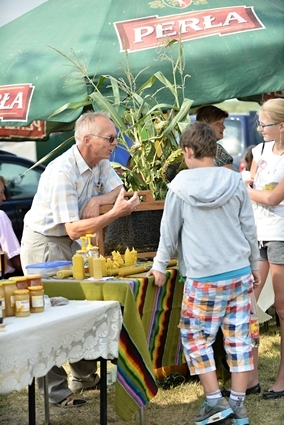 Dożynki Gminne 2015
