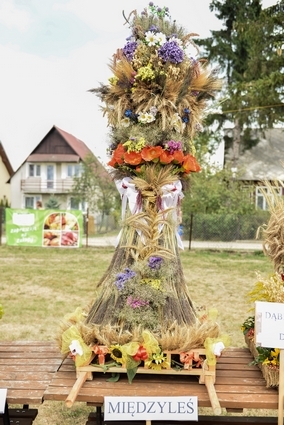 Dożynki Gminne 2015