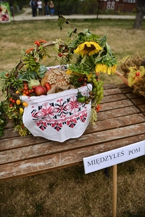 Dożynki Gminne 2015