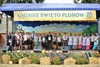 Dożynki Gminne 2015