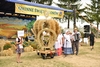 Dożynki Gminne 2015