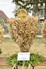 Dożynki Gminne 2015