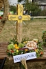 Dożynki Gminne 2015