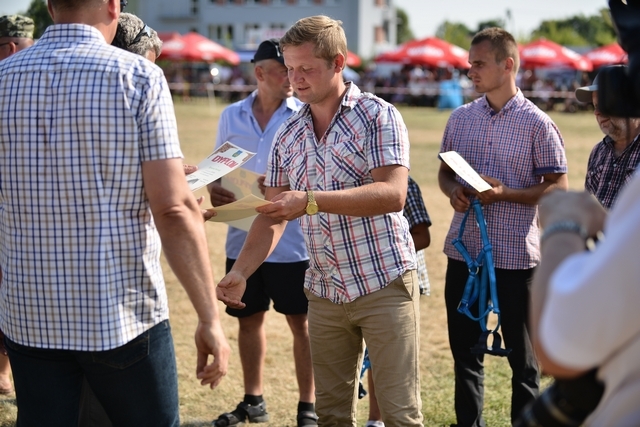 VIII Regionalna Wystawa Koni Zimnokrwistych