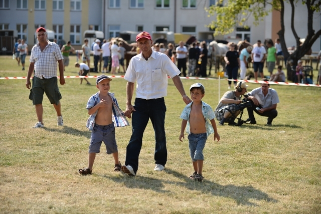 VIII Regionalna Wystawa Koni Zimnokrwistych