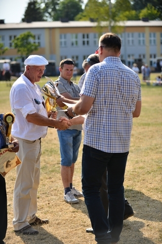 VIII Regionalna Wystawa Koni Zimnokrwistych