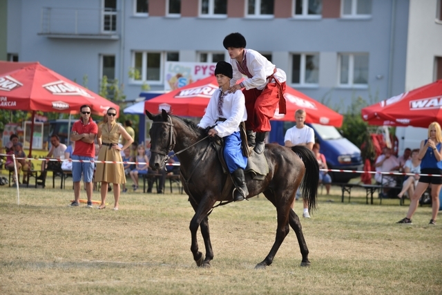 VIII Regionalna Wystawa Koni Zimnokrwistych