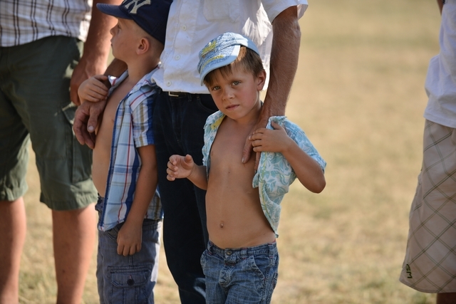 VIII Regionalna Wystawa Koni Zimnokrwistych