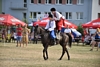 VIII Regionalna Wystawa Koni Zimnokrwistych